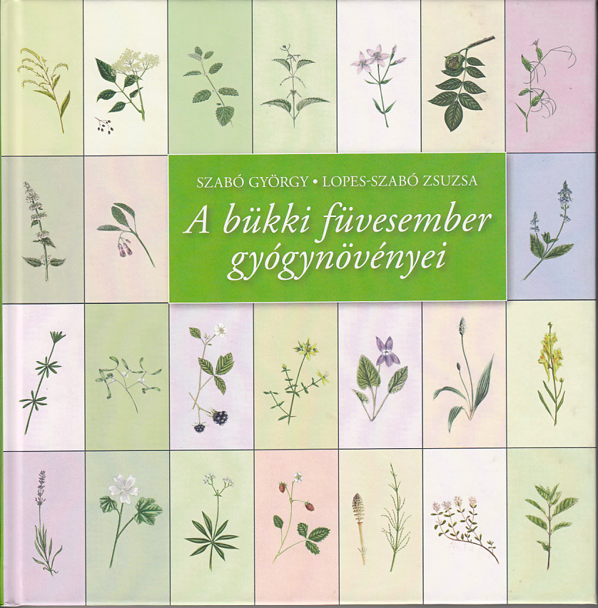 A bükki füvesember gyógynövényei