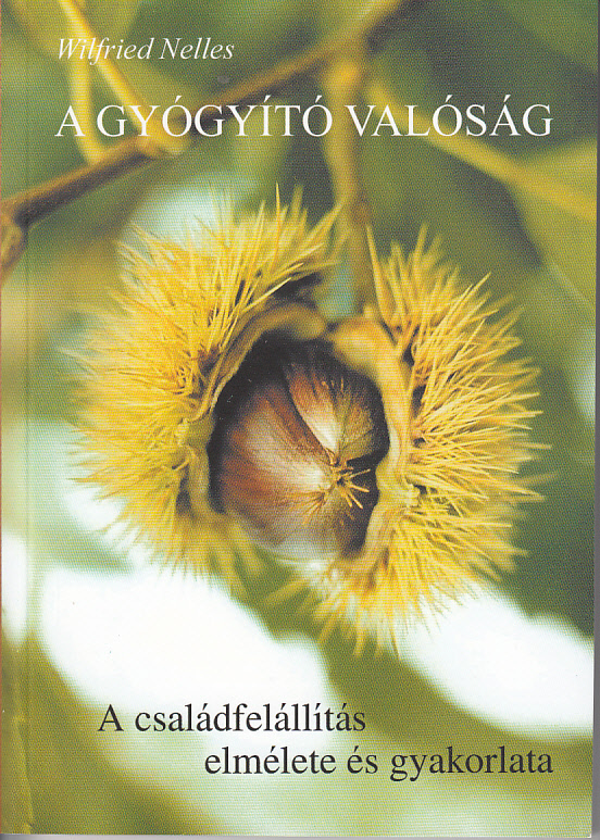 A gyógyító valóság